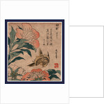 Shakuyaku Kana Ari, Peony and Canary by Anonymous