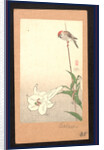 Small Red-Capped Bird Perched on a Bamboo Stake Supporting a Lily Plant. by Anonymous