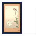 Small Red-Capped Bird Perched on a Bamboo Stake Supporting a Lily Plant. by Anonymous