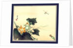 Kabocha ni tonbou, Dragonfly and pumpkin by Ogata Gekko