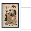 Yotsumeya uchi kinshu, The Courtesan Kinshu of Yotsumei-ya by Isoda Koryusai