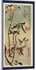 Secchu tsubaki ni suzume, Sparrows and camellias in snow by Ando Hiroshige