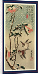 Secchu tsubaki ni suzume, Sparrows and camellias in snow by Ando Hiroshige