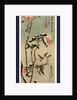 Secchu tsubaki ni suzume, Sparrows and camellias in snow by Ando Hiroshige