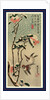 Secchu tsubaki ni suzume, Sparrows and camellias in snow by Ando Hiroshige