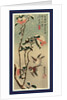 Secchu tsubaki ni suzume, Sparrows and camellias in snow by Ando Hiroshige