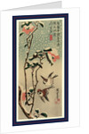 Secchu tsubaki ni suzume, Sparrows and camellias in snow by Ando Hiroshige