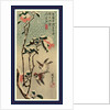 Secchu tsubaki ni suzume, Sparrows and camellias in snow by Ando Hiroshige