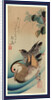 Oshidori, Mandarin ducks by Ando Hiroshige