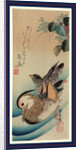 Oshidori, Mandarin ducks by Ando Hiroshige