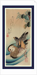 Oshidori, Mandarin ducks by Ando Hiroshige