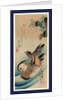 Oshidori, Mandarin ducks by Ando Hiroshige