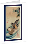 Oshidori, Mandarin ducks by Ando Hiroshige