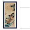 Oshidori, Mandarin ducks by Ando Hiroshige