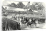 The American Civil War: Grand Review of the Army of the Potomac Before President Johnson at Washington 17 June 1865 by Anonymous