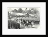 The American Civil War: Grand Review of the Army of the Potomac Before President Johnson at Washington 17 June 1865 by Anonymous
