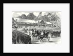 The American Civil War: Grand Review of the Army of the Potomac Before President Johnson at Washington 17 June 1865 by Anonymous