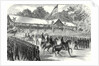 The American Civil War: Grand Review of the Army of the Potomac Before President Johnson at Washington 17 June 1865 by Anonymous