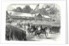 The American Civil War: Grand Review of the Army of the Potomac Before President Johnson at Washington 17 June 1865 by Anonymous