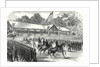 The American Civil War: Grand Review of the Army of the Potomac Before President Johnson at Washington 17 June 1865 by Anonymous