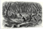 The Civil War in America: Carolinian Pickets Flying Before the Advance of the Federal Troops on Fairfax 17 August 1861 by Anonymous