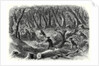 The Civil War in America: Carolinian Pickets Flying Before the Advance of the Federal Troops on Fairfax 17 August 1861 by Anonymous