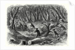 The Civil War in America: Carolinian Pickets Flying Before the Advance of the Federal Troops on Fairfax 17 August 1861 by Anonymous