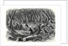 The Civil War in America: Carolinian Pickets Flying Before the Advance of the Federal Troops on Fairfax 17 August 1861 by Anonymous