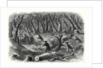 The Civil War in America: Carolinian Pickets Flying Before the Advance of the Federal Troops on Fairfax 17 August 1861 by Anonymous