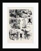 India, Shooting Excursion in Malabar, Madras Presidency by Anonymous