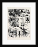 India, Shooting Excursion in Malabar, Madras Presidency by Anonymous
