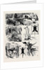 India, Shooting Excursion in Malabar, Madras Presidency by Anonymous