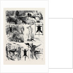 India, Shooting Excursion in Malabar, Madras Presidency by Anonymous