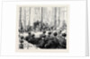 The Royal Visit to Great Yarmouth: The Luncheon in the New Assembly Room by Anonymous