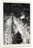 With the Marquis of Lorne in Canada: Tobogganing by Torchlight at Ottawa by Anonymous
