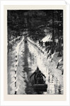 With the Marquis of Lorne in Canada: Tobogganing by Torchlight at Ottawa by Anonymous