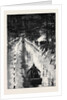 With the Marquis of Lorne in Canada: Tobogganing by Torchlight at Ottawa by Anonymous