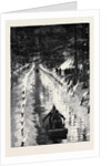With the Marquis of Lorne in Canada: Tobogganing by Torchlight at Ottawa by Anonymous