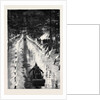 With the Marquis of Lorne in Canada: Tobogganing by Torchlight at Ottawa by Anonymous