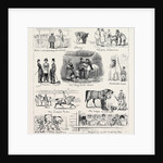 The Islington Horse Show by Anonymous