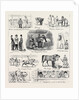 The Islington Horse Show by Anonymous