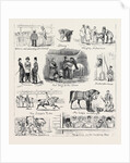 The Islington Horse Show by Anonymous