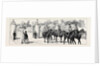 The Condition of Ireland: Precautions at the Viceregal Court, Dublin: Earl Spencer Going to the Castle Under Military Escort by Anonymous