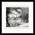 View in Phoenix Park, Dublin, Ireland by Anonymous