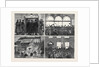 The Release of the Suspects: Popular Rejoicings in Dublin by Anonymous