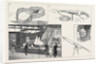 The International Fisheries Exhibition at Edinburgh by Anonymous