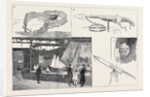 The International Fisheries Exhibition at Edinburgh by Anonymous