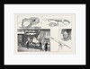 The International Fisheries Exhibition at Edinburgh by Anonymous