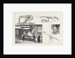 The International Fisheries Exhibition at Edinburgh by Anonymous