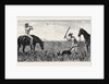 Wallaby Hunting, Queensland by Anonymous